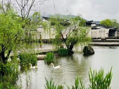 -呈坎景区