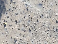 -北海金海湾红树林生态旅游区