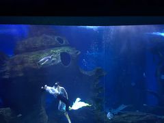 -多彩贵州城极地海洋世界