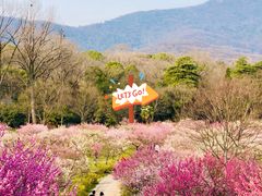 -梅花山(明孝陵内)