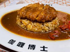 -伽喱博士 Dr.CURRY咖喱饭(太阳宫咖喱店)