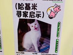 -开元商城(西旺店)