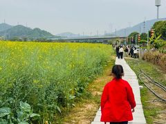 -光明小镇欢乐田园