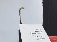 -知亘茶食