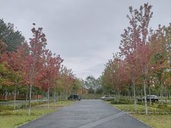 -东郊湿地公园