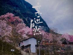 -九皇山景区
