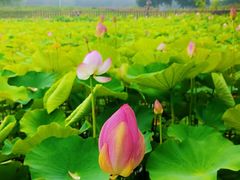 -渔岛海洋度假区