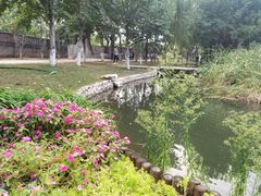 -三里河公园