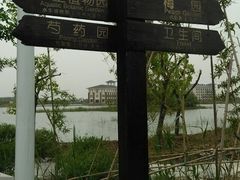 -泗洪洪泽湖湿地景区