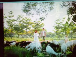 -太古映画婚纱摄影(天河店)