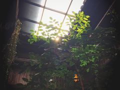 -普洱茶府(博乐广场店)