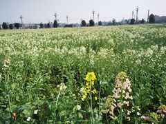 -中国天府农业博览园