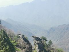 -朱雀国家森林公园