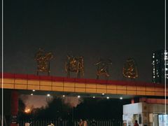 -望湖公园
