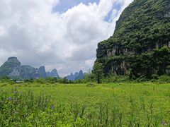 -明仕田园