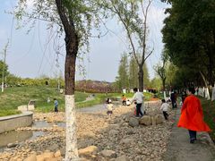 -皇粮浜湿地公园