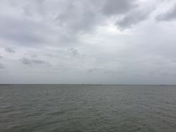 -水八仙生态园