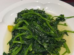 -眉州东坡(清河万象汇店)