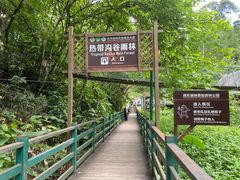 -西双版纳原始森林公园