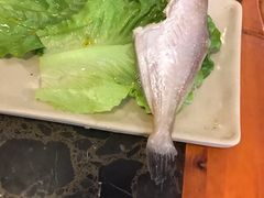 -大龙老火锅·总店(龙头寺店)