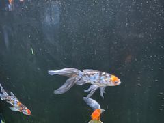 -欢乐海岸海洋奇梦馆
