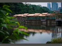 -重庆彩云湖湿地公园