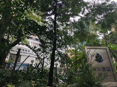 -九龙公园