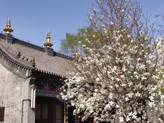 -护国法轮寺
