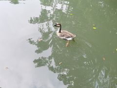 -呀诺达热带雨林