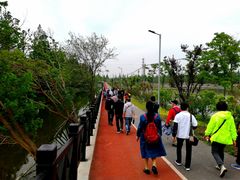 -上海长兴岛郊野公园