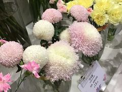 -花邻FloweringLife花艺气球派对(武康大楼店)