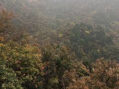 -北京上方山国家森林公园