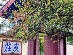 -庾园