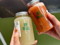 -野萃山·潮汕厚果汁(十亩地店)