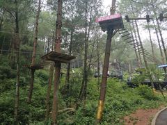 -梦幻奥陶纪景区