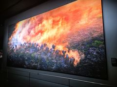 -罗红摄影艺术馆