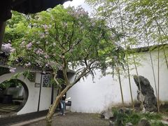 -上海醉白池公园