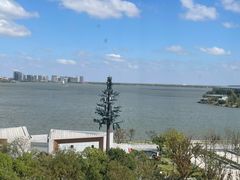 -朵云书院(滴水湖店)