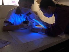 -宠爱国际动物医院·消化内科·心肾内科·ISFM猫友好(望京店)