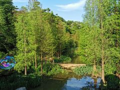 -云溪植物园