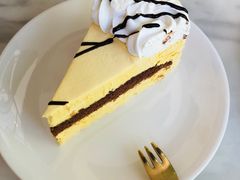 -有猫主题·治愈系猫咖(曾厝垵店)