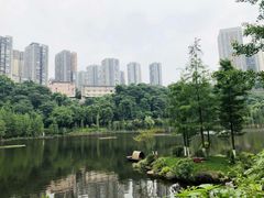 -重庆彩云湖湿地公园