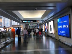 -厦门高崎国际机场-T3航站楼