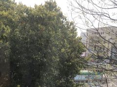 -南通濠河风景名胜区