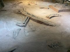 -卧龙岗文化园-南阳市汉画馆