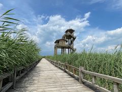 -野鸭湖国家湿地公园