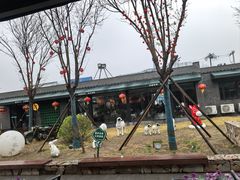 -阳坊胜利涮羊肉(阳坊老店)