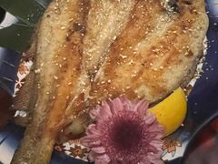 -弓二·烧鸟居酒屋(财富购物中心店)