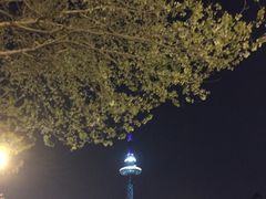 -龙塔