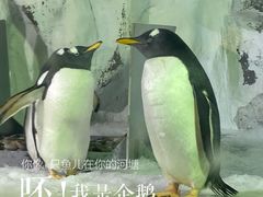 -南昌海洋公园